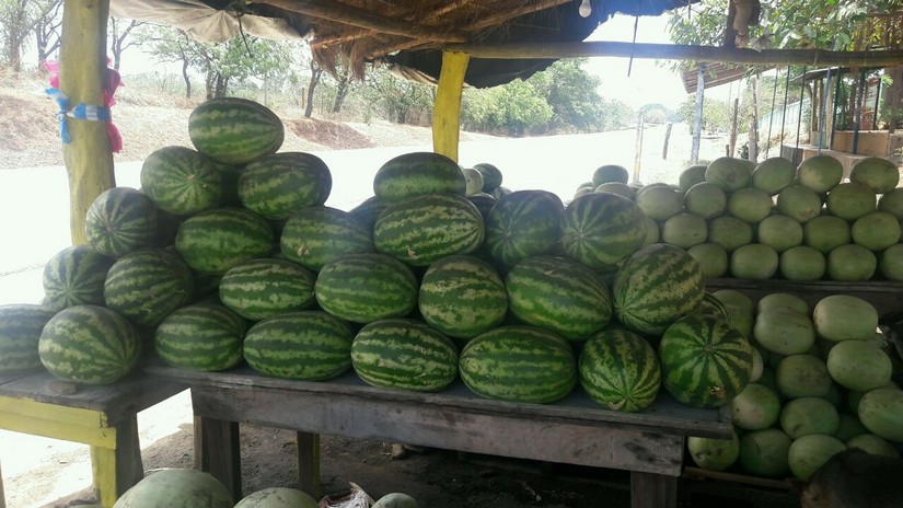 sandia
